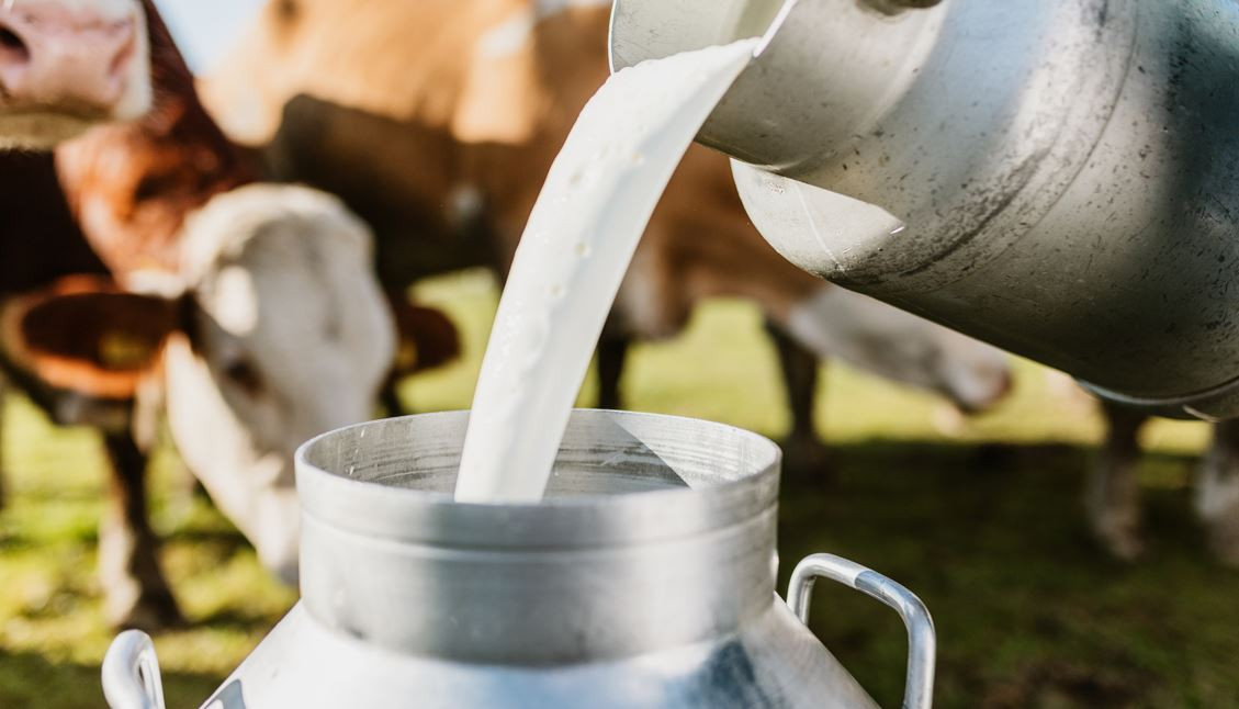 दूधमा आत्मनिर्भर बन्दै मधेस प्रदेश