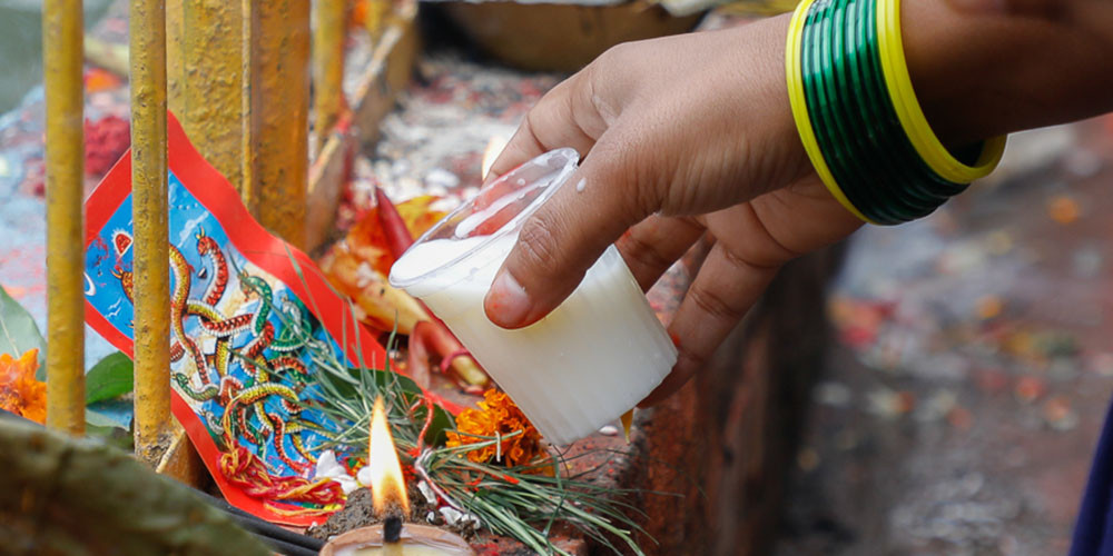 आज नागपञ्चमी, घर-घरमा नागको पूजा गरिँदै 