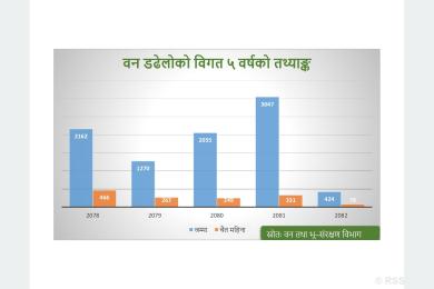 मनसुन पूर्वको वर्षाले घटायो वन डढेलो