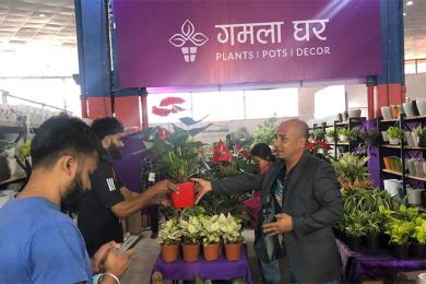 पुष्प व्यवसायमा भविष्य खोज्दै युवा