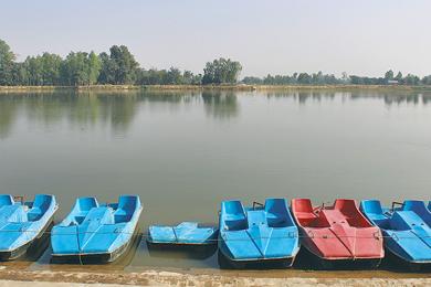 पर्यटकीय नाढिमन ताल गौचरनमा परिणत