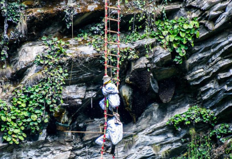 महसिकार आयआर्जन र पर्यटन प्रवर्द्धनको माध्यम बन्दै