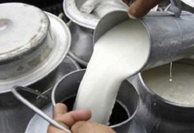 दुग्ध किसानको ४८ करोड भुक्तानी बाँकी