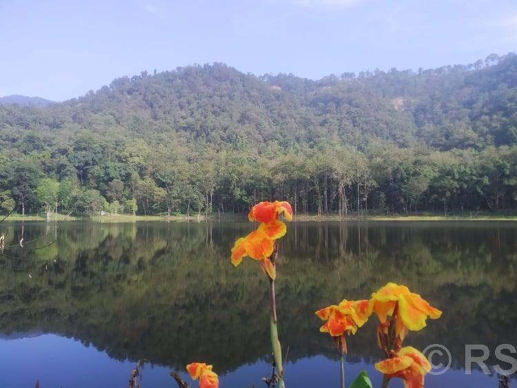 आहा  !  आलिताल