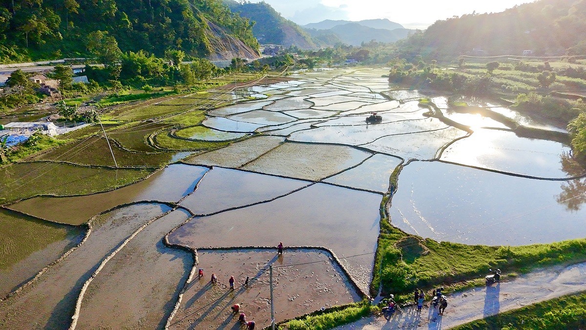 वर्षा कम हुँदा गण्डकीमा अपेक्षित रोपाइँ हुन सकेन