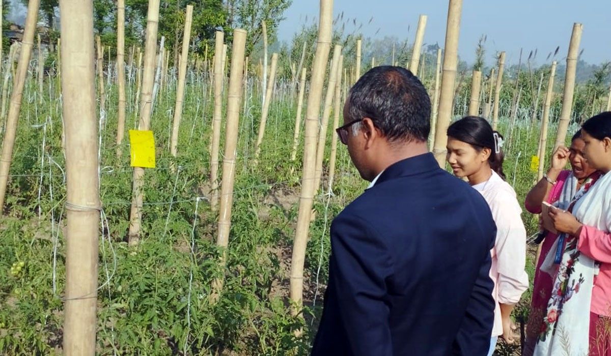 यस्तो छ आजका लागि कृषिउपजको थोक मूल्य