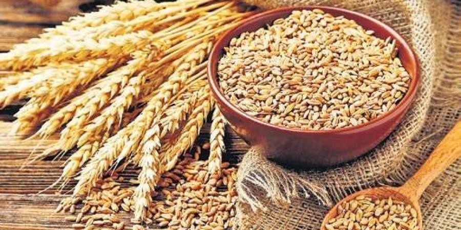 बारामा ७१ हजार ९२ मेट्रिकटन गहुँ उत्पादन