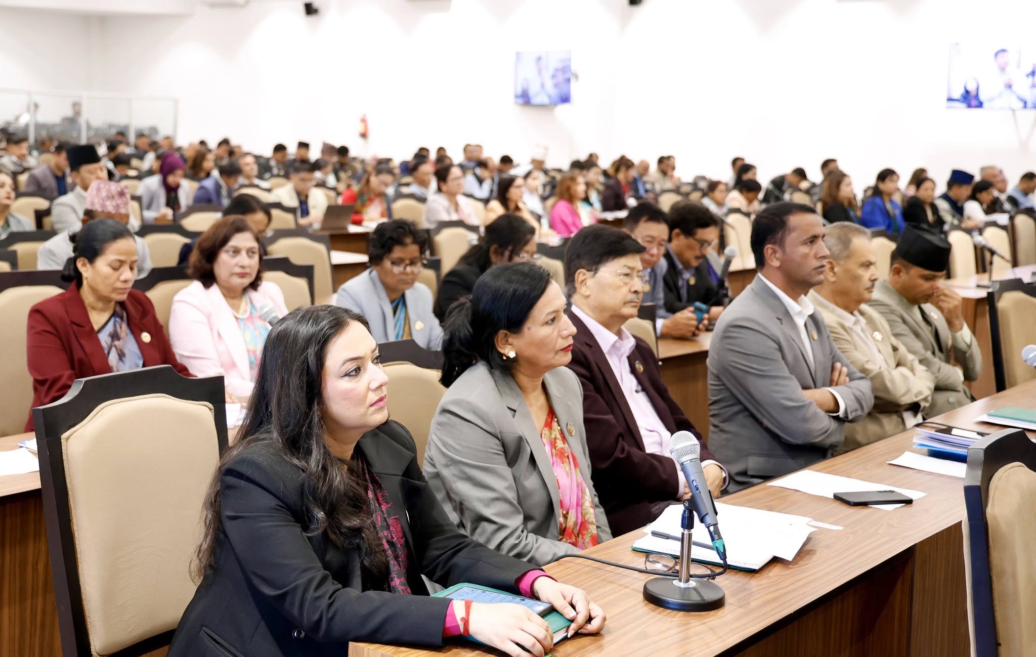 प्रतिनिधिसभामा बाढीपीडित राहत र उद्धारसँगै ट्राफिक पार्किङ व्यवस्थापनसम्मका विषयमा चर्चा