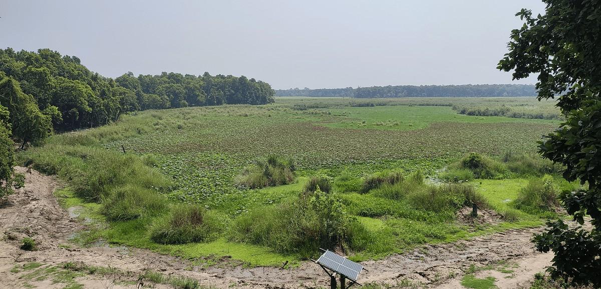 जलवायु परिवर्तनका दुष्प्रभावः सुक्दै शुक्लाफाँटा निकुञ्जका ताल