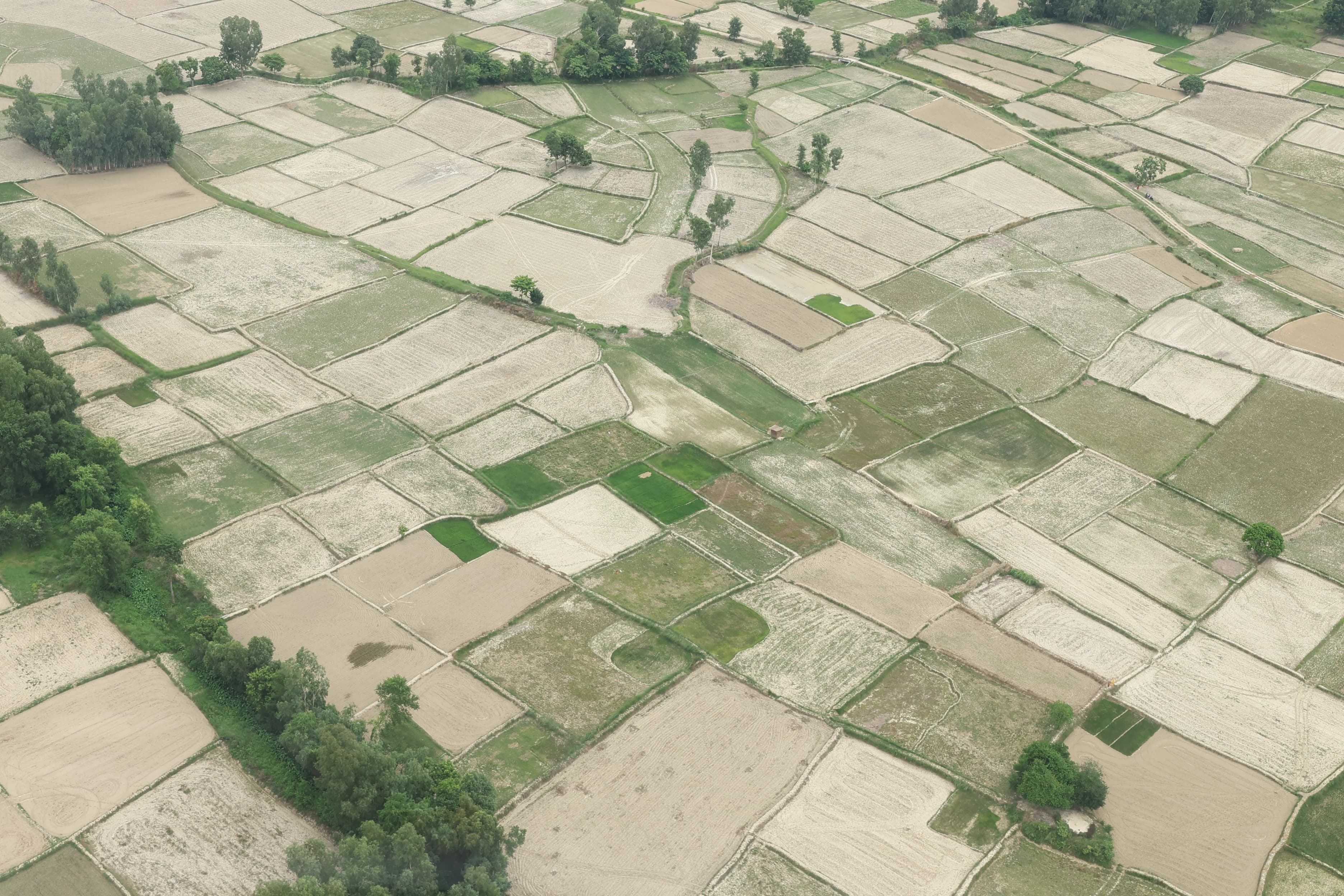 फितलो विपद् पूर्वतयारीले निम्त्याउनसक्ने सङ्कट