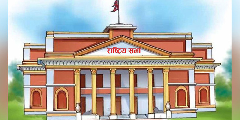 राष्ट्रिय सभा उपाध्यक्षमा विमला घिमिरे र विष्णु पुडासैनीको उम्मेदवारी दर्ता