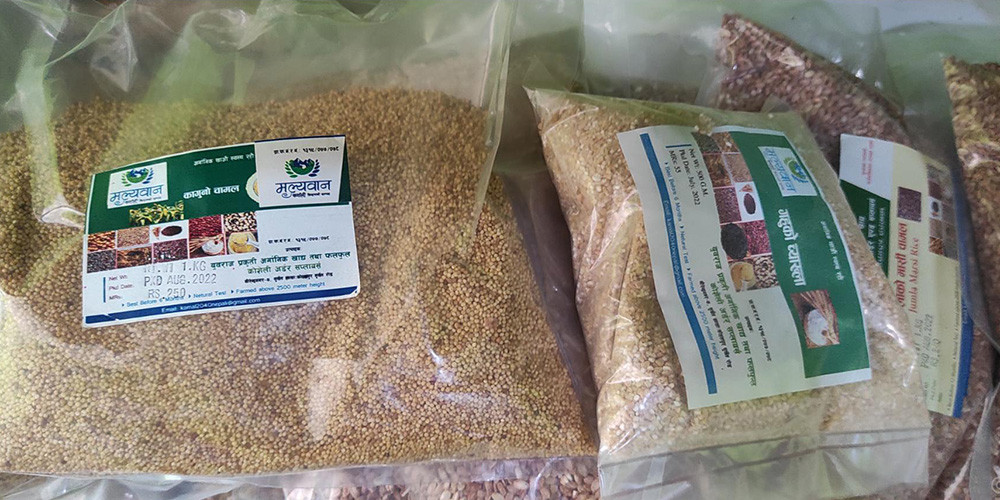 रैथाने बाली : ‘मूल्यवान’ कर्णाली किसानका सम्पदा