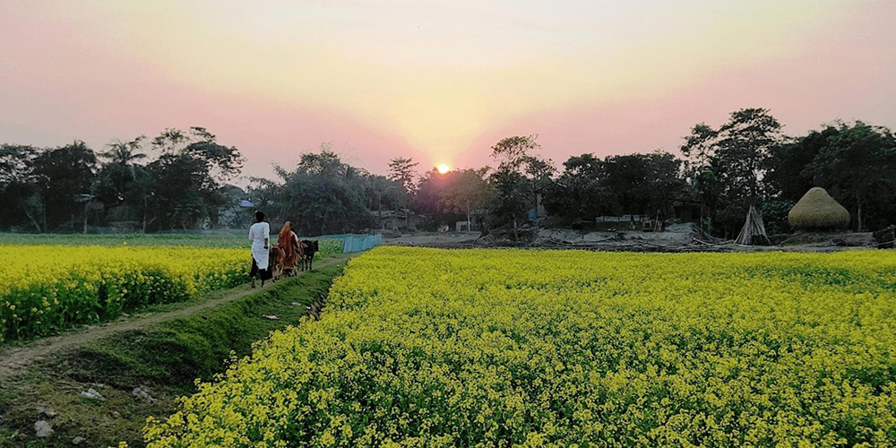 आसामभित्रको नेपाल : हटेन गोठाले दुःख, तैपनि जोगाएकै छन् पुख्र्यौली संस्कृति