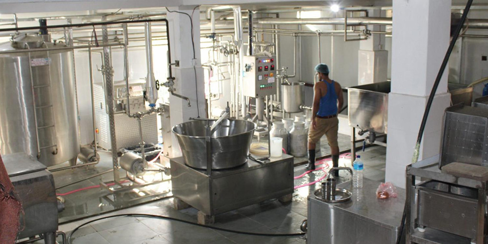 दुग्ध उद्योग स्थापनापछि बजार व्यवस्थापनमा सहज