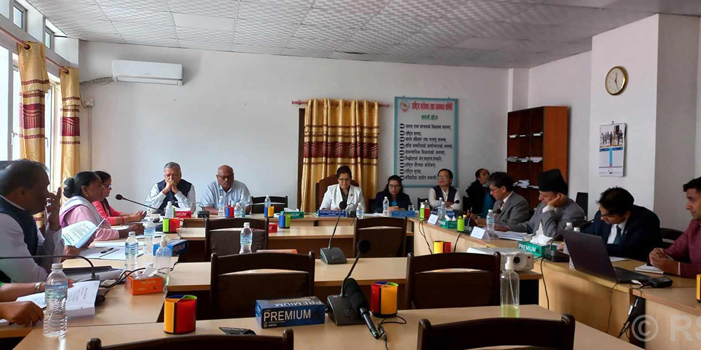 योजना कार्यक्रम तथा बजेट कार्यान्वयनबीच खाडल छ– उपाध्यक्ष डा श्रेष्ठ