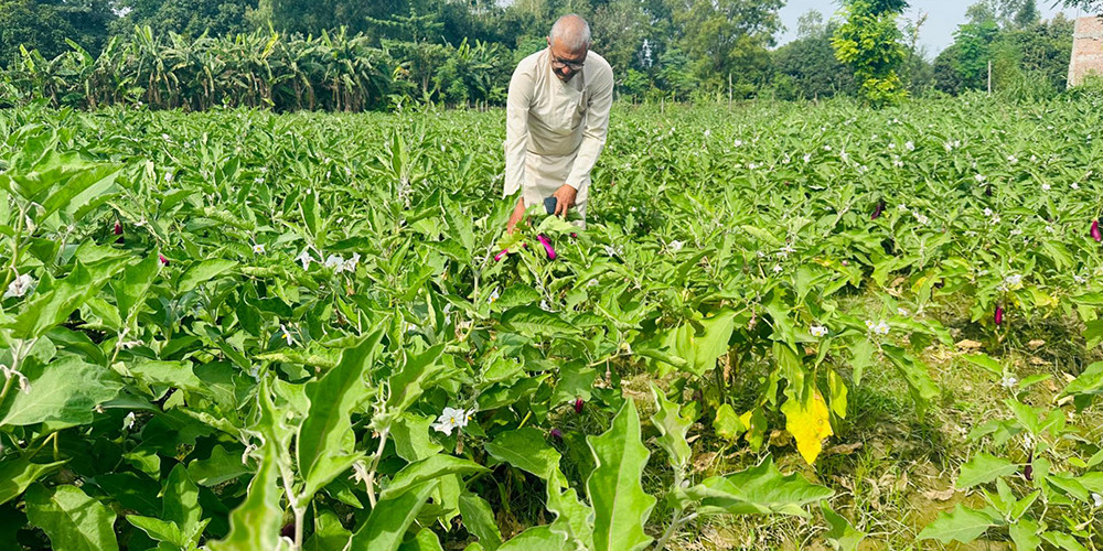 ‘सिरहामा पत्रकार थपलियाले बदलेको छवि’