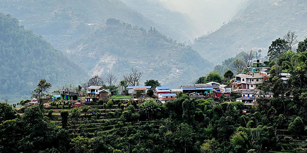 बसाइँसराइले रित्तिदै गाउँः बढ्यो बाँदर आतङ्क