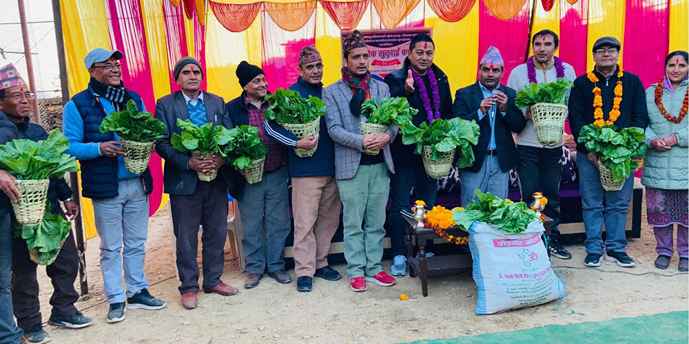 अतिथिलाई उपहार : चोयाको डोकोमा रायोको साग