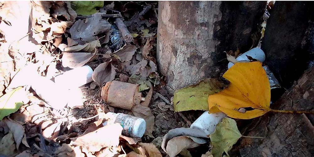 बाँकेको मध्यवर्ती क्षेत्रमा सकेट बम फेला