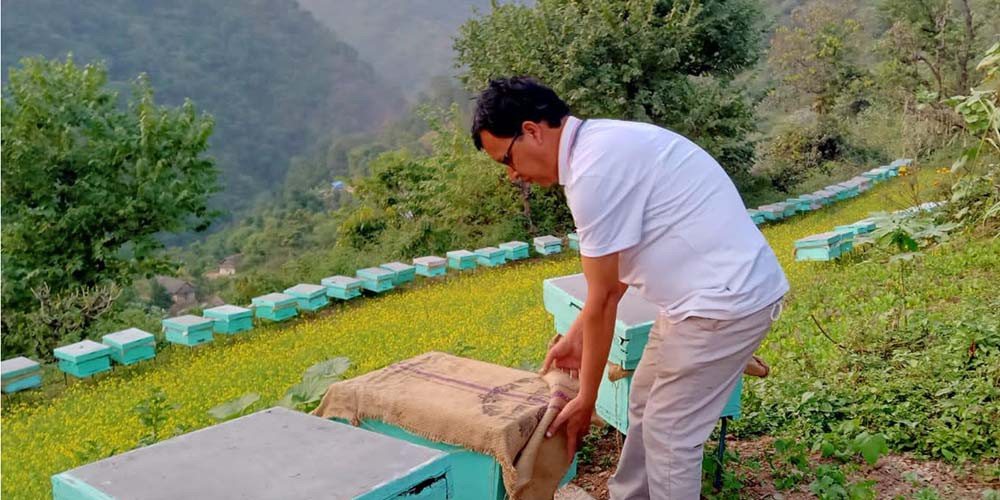 माहुरीका घार र मह बिक्रीबाट वार्षिक २२ देखि २५ लाखसम्म आम्दानी गर्दै केसी