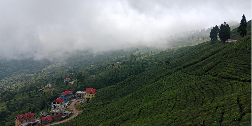 चिया टिप्न हातेमेसिन प्रदान गर्दै सूर्योदय नगरपालिका