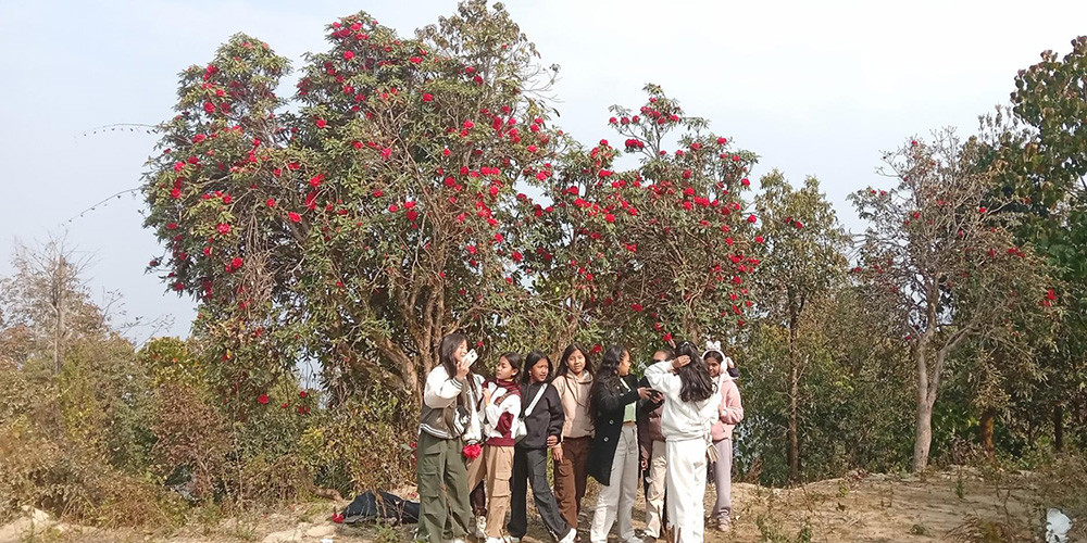 राइनासकोटमा लालिगुराँसले आकर्षित गर्दै पर्यटक