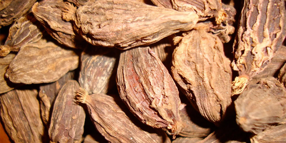 इलाममा अलैँची उत्पादन बढ्यो