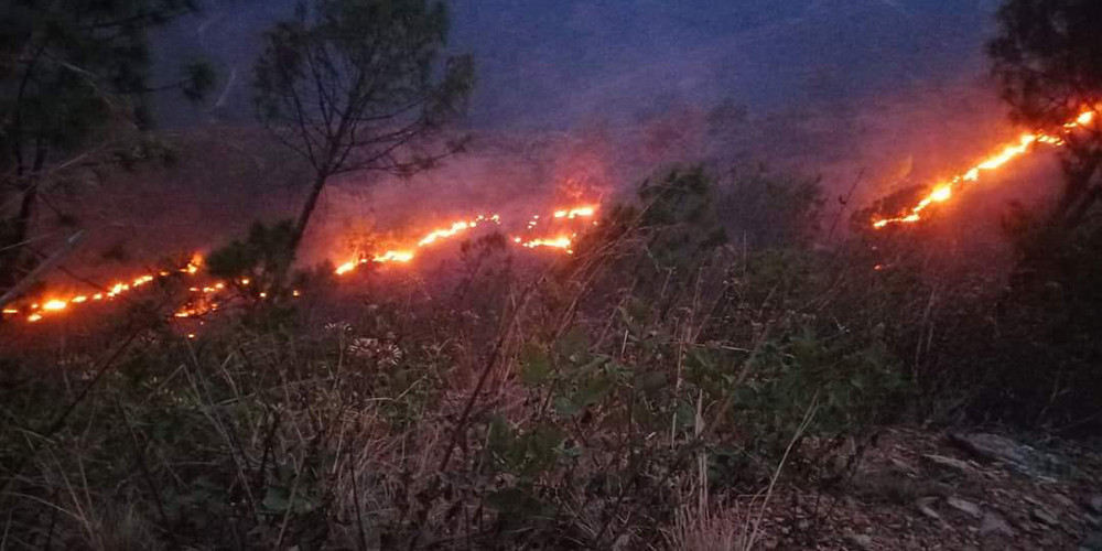 राष्ट्रियसभाः डढेलो नियन्त्रणमा सक्रिय हुन आग्रह