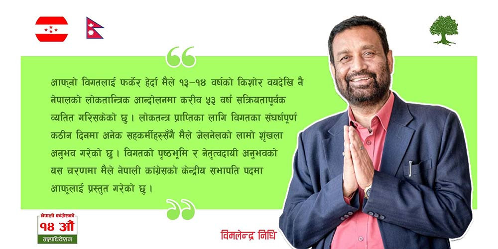 प्रदेशको अधिकार सुनिश्चित गराउन सभापतिमा उम्मेदवारी : उपसभापति निधि