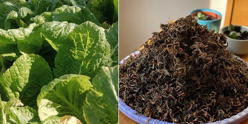 गुन्द्रुकको ‘ब्रान्डिङ’ :  बिक्री गर्ने जिम्मा गाउँपालिकाको