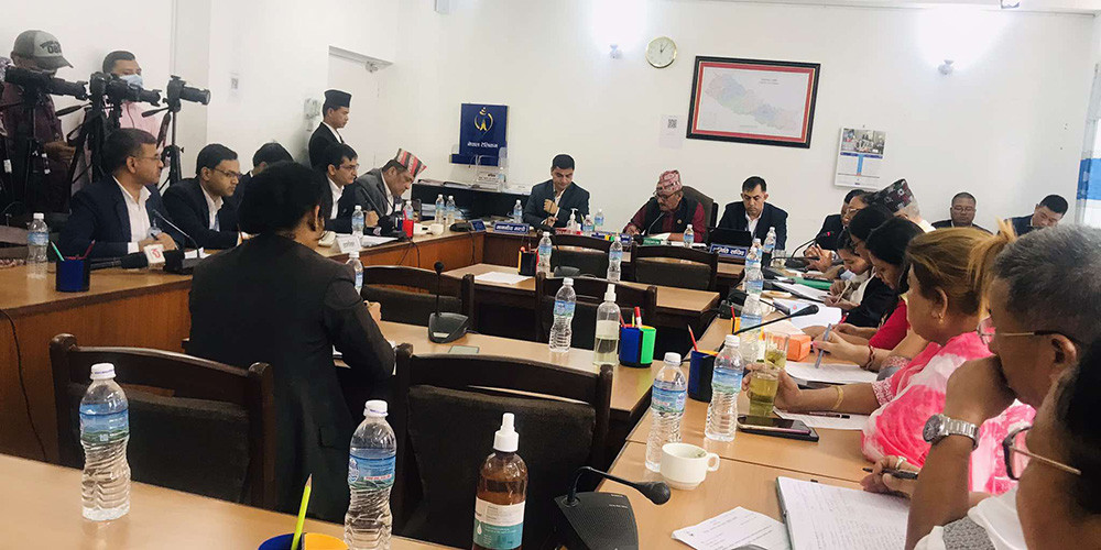 शिक्षा समिति बैठक : स्वास्थ्यमन्त्रीसँग छलफल