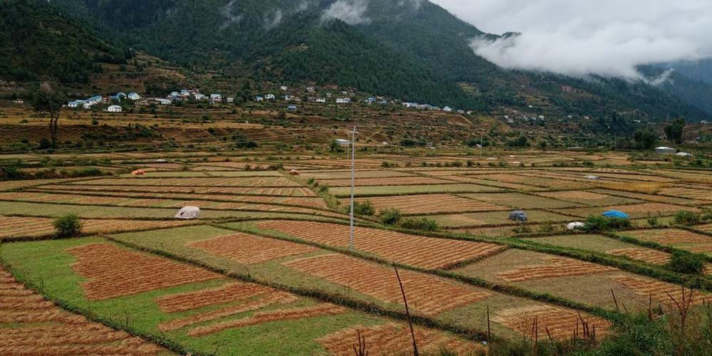 बाढीले जुम्लामा करोडौँको क्षति, तिला गाउँपालिका सबैभन्दा बढी प्रभावित