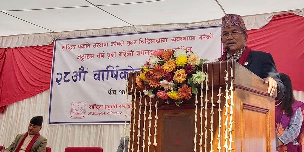 वातावरण सुधारमा कुनै सम्झौता हुँदैन : महानगरप्रमुख महर्जन