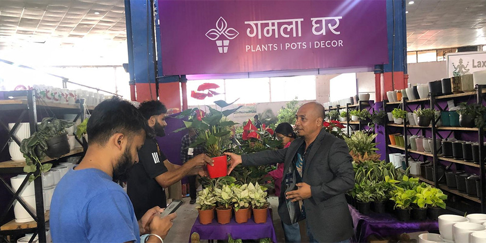 पुष्प व्यवसायमा भविष्य खोज्दै युवा