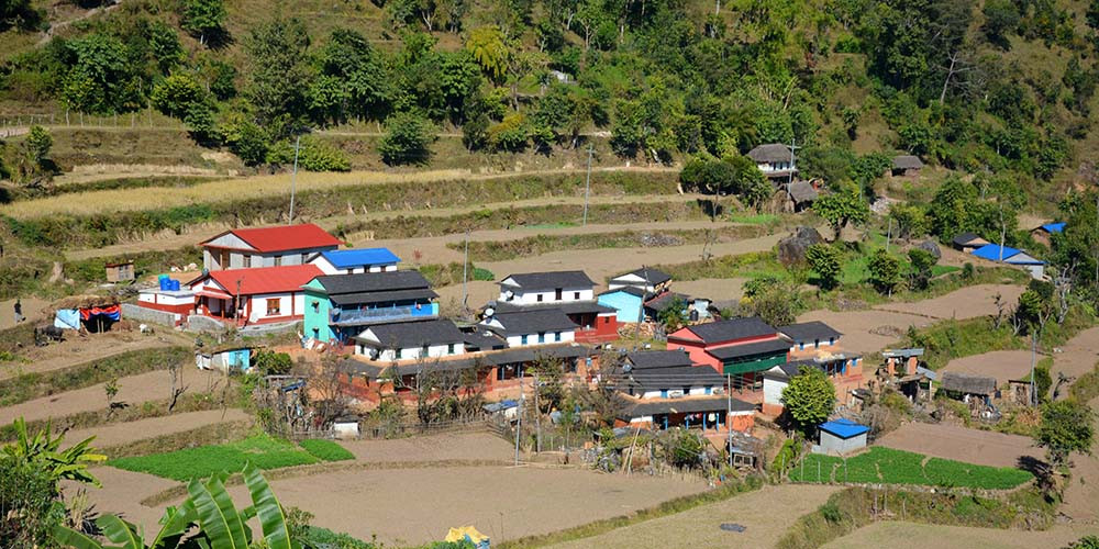 जलवायु परिवर्तनको असर कृषिमा