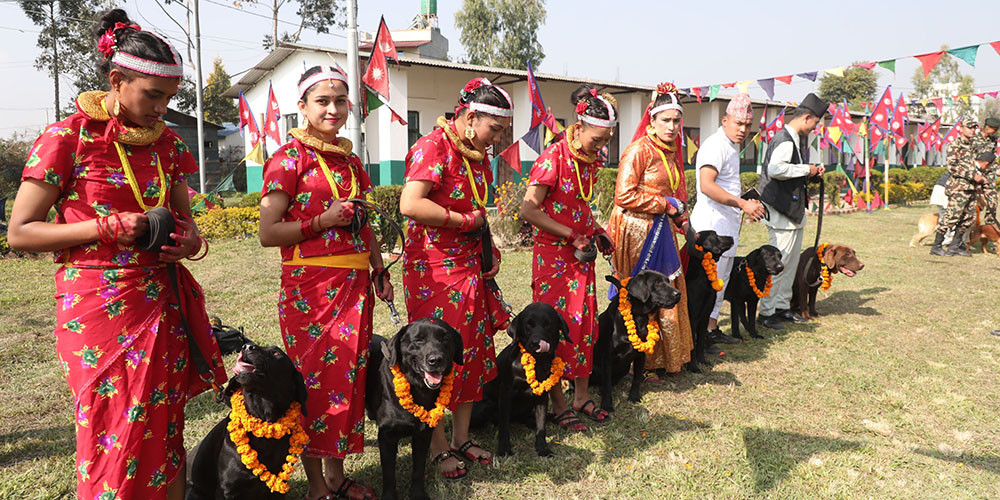 भैरव बहान गुल्ममा मनाइयो कुकुर तिहार