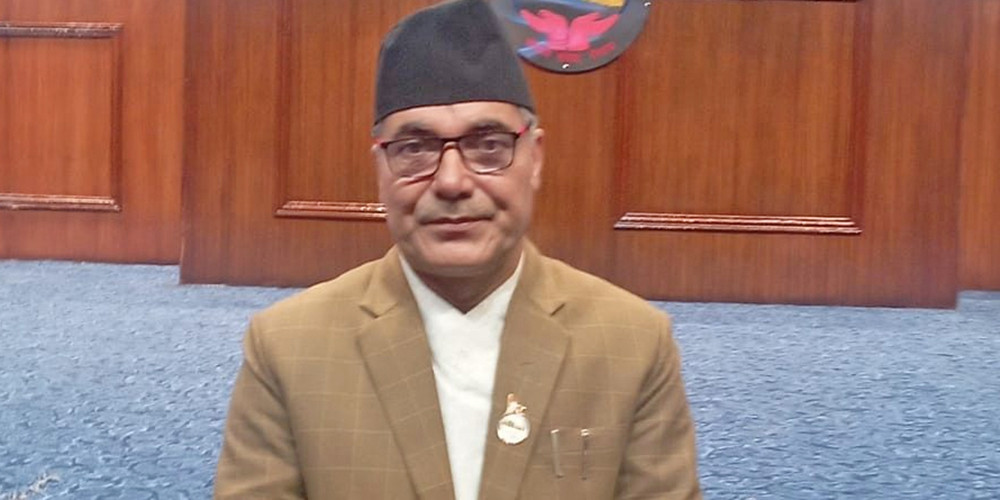  प्रतिपक्षले उठाएका मुद्दालाई समस्या ठान्नु लोकतन्त्रसम्मत हुँदैन : सांसद पोखरेल