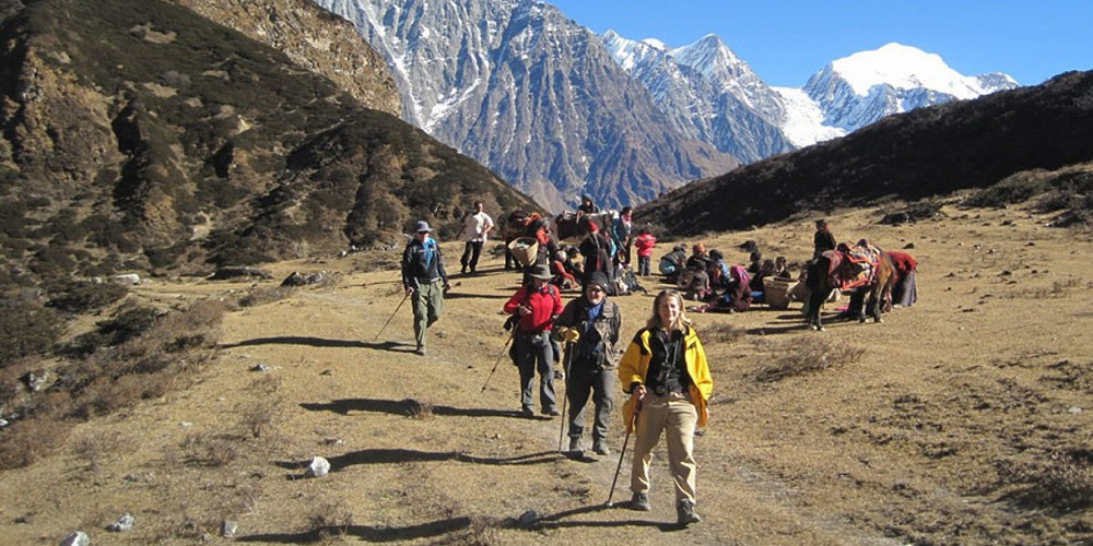 सन् २०२४ मा नेपाल आए साढे ११ लाख पर्यटक 