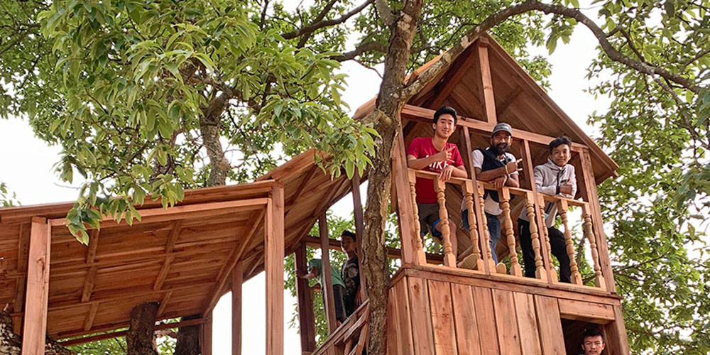 निषेधाज्ञाकै बीचमा आकर्षण बन्यो रूखमाथि बनेको ‘घर’