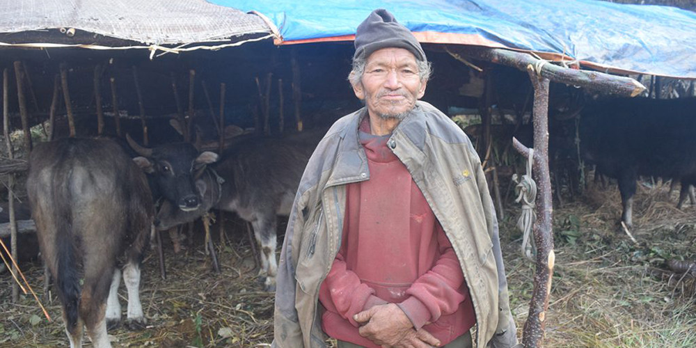 म्याग्दीका घुम्ती गोठ रित्तिँदै