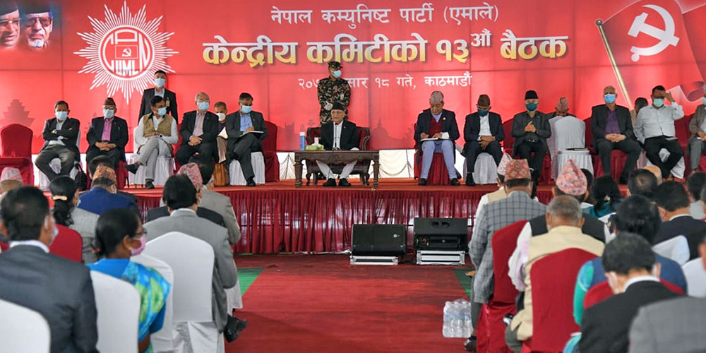 असारभित्र पार्टी सदस्यता नवीकरण गर्ने प्रस्ताव