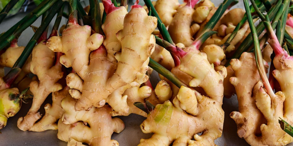 अदुवा उत्पादक कृषक मारमा