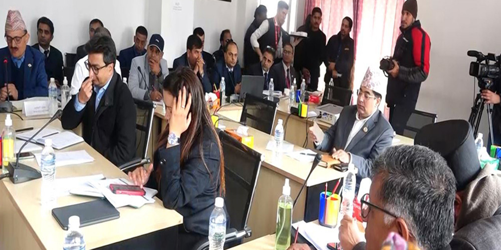 मन्त्री उपस्थितिको माग उठेपछि संसदीय समितिको बैठक स्थगित