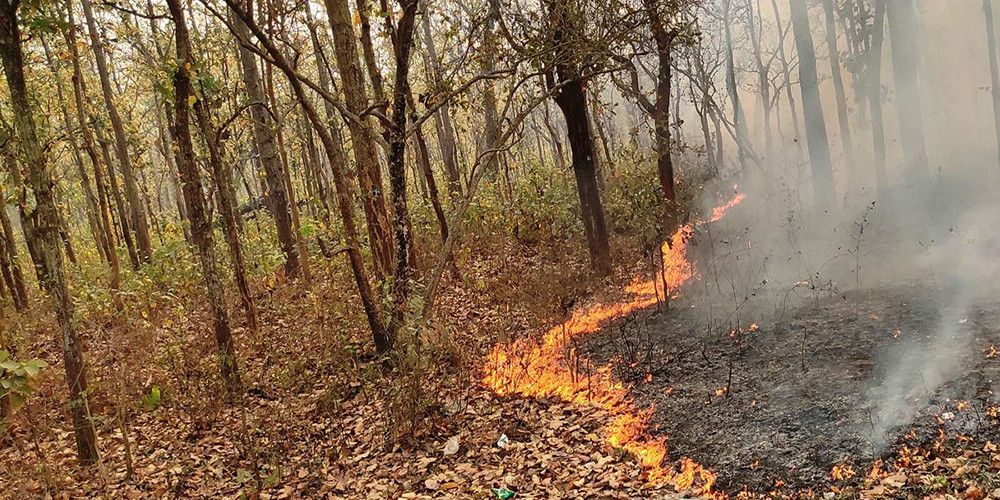 डढेलो र आगलागीको जोखिम घटाउन थालिहालौं तयारी 