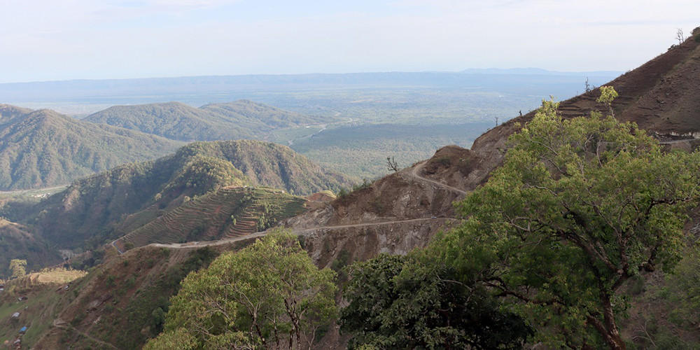 चुरेमा बाँस रोप्न दाता खोज्दै सरकार