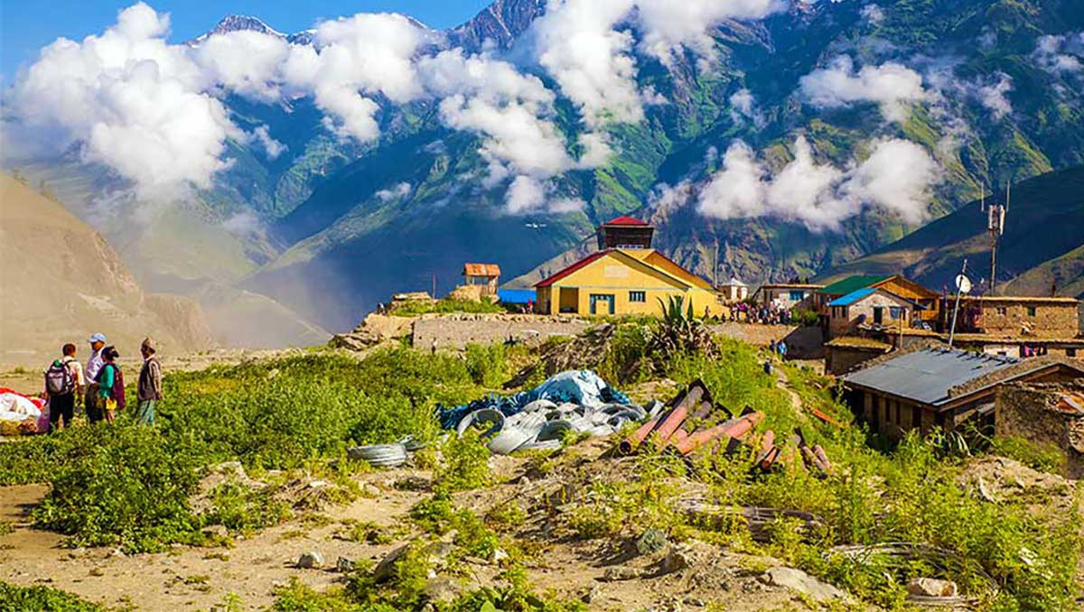 जिम्बु, भोटेजिरा संकलन गरेर परिवार धान्दै उपल्लो डोल्पाली