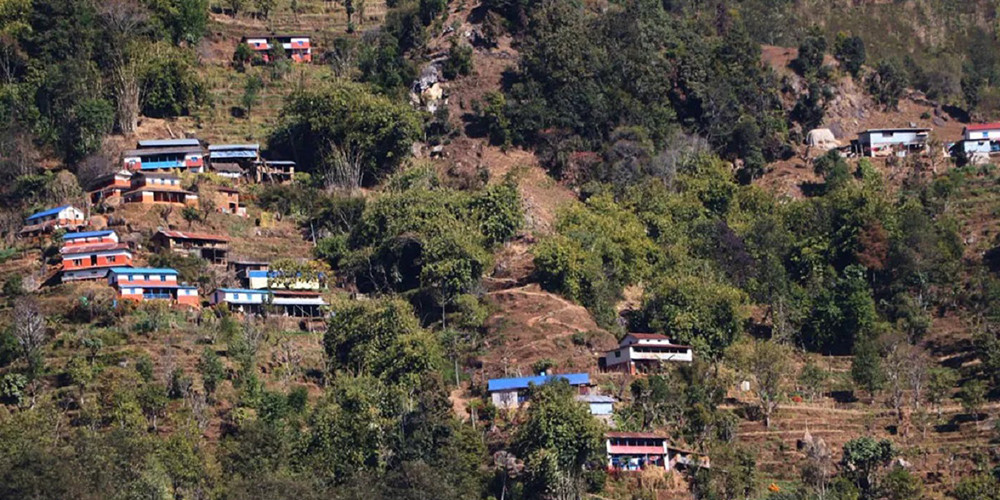 गाउँले शहरमा, बस्तीमा वन्यजन्तु