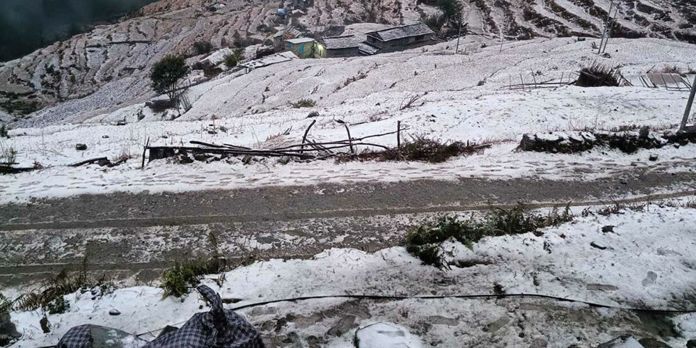 म्याग्दीमा हिमपात र वर्षाले खुसी भए किसान