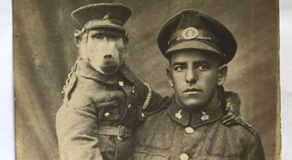 सत्य–तथ्य विचित्र