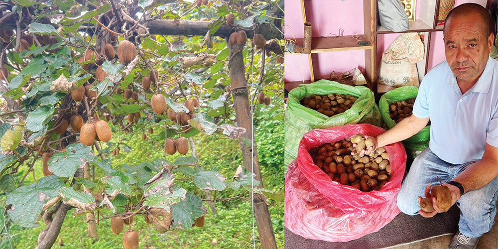 जो वडासँगै फार्म पनि चलाउँछन्